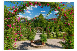 Magnettafel Rosengarten im Sommer