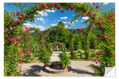 Selvklæbende plakat Rose garden in summer