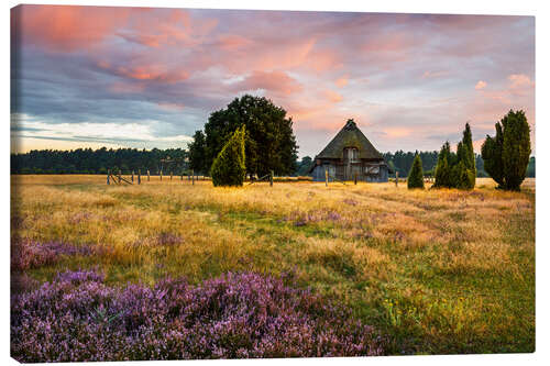 Canvas print Hut in the Lüneburg Heath