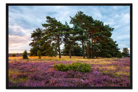 Gerahmter Kunstdruck Augustmorgen in der Lüneburger Heide