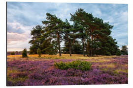 Magnettafel Augustmorgen in der Lüneburger Heide