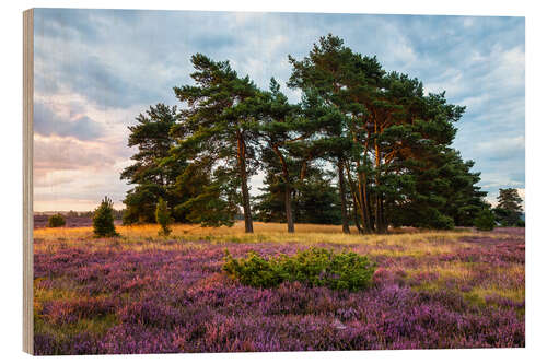 Holzbild Augustmorgen in der Lüneburger Heide