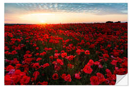 Vinilo para la pared Campo de amapolas al amanecer