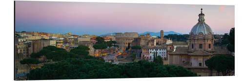 Alumiinitaulu Panoramic Rome