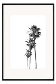 Gerahmter Kunstdruck Palmen in Schwarzweiß