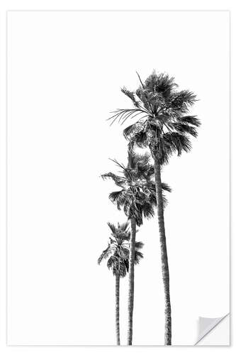 Wall sticker Black and white palm trees