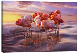 Quadro em tela  Siesta de flamingos - Adrian Borda