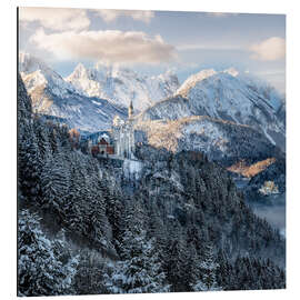 Aluminium print Neuschwanstein Castle in winter, Allgäu, Bavaria