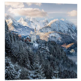 Tableau en PVC Château de Neuschwanstein en hiver, Allgäu, Bavière