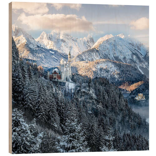 Trebilde Neuschwanstein Castle in winter, Allgäu, Bavaria