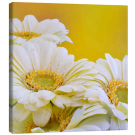 Canvas print Harmony in yellow