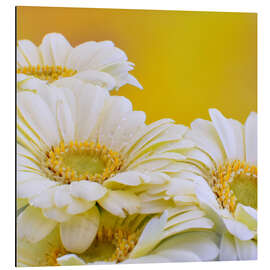 Magnettafel Harmonie in Gelb