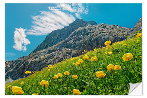 Selvklebende plakat Alpspitze with globeflower meadow