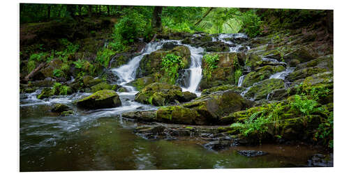 Foam board print Waterfall in the Harz Mountains