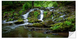 Wall sticker Waterfall in the Harz Mountains