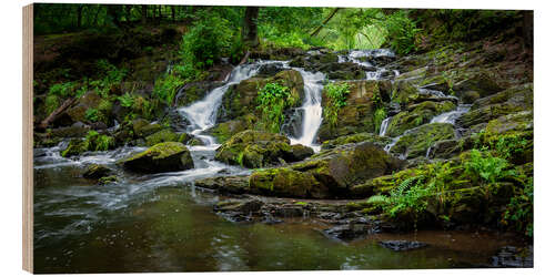 Wood print Waterfall in the Harz Mountains