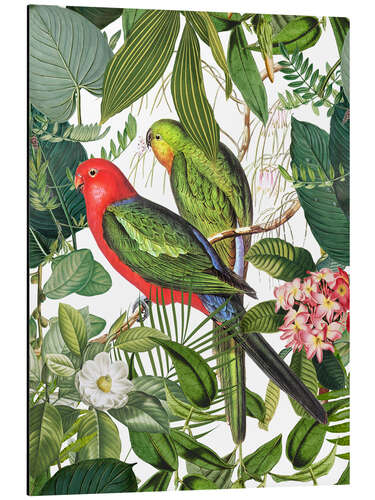 Aluminium print Birds in the tropical paradise