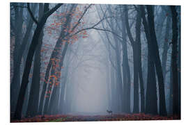 Foam board print Dutch forest with a deer on a foggy day