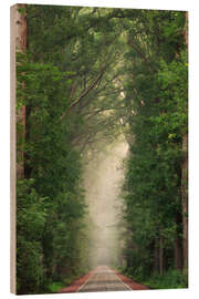 Wood print Misty summer road though a Dutch forest