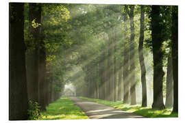 Magnettafel Das Haus im Sommerlicht