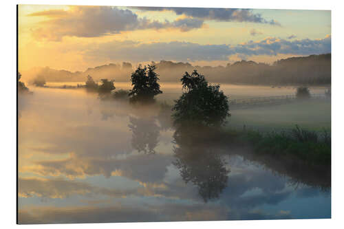 Aluminium print Fog on the bank