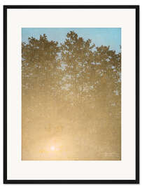 Gerahmter Kunstdruck Sonnenuntergang, Fontainebleau