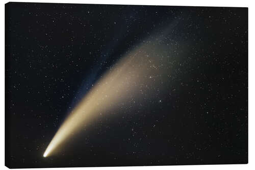 Canvas print Comet Neowise