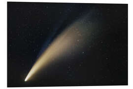 Foam board print Comet Neowise