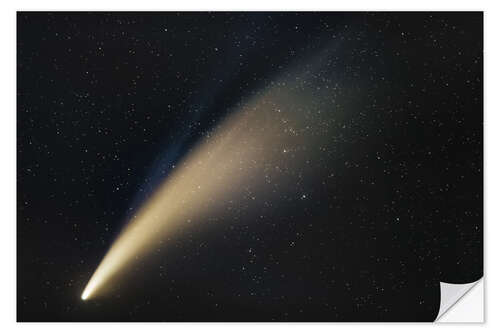 Wall sticker Comet Neowise