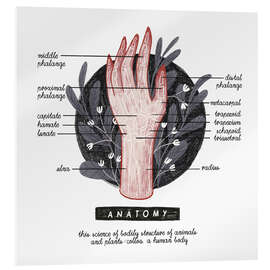 Akrylbilde Anatomy of the hand (English)