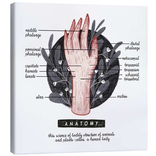 Leinwandbild Anatomie der Hand (Englisch)