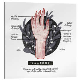 Gallery print Anatomia ręki (angielski)