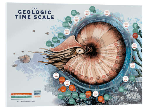 Obraz na szkle akrylowym The geological time scale (English)