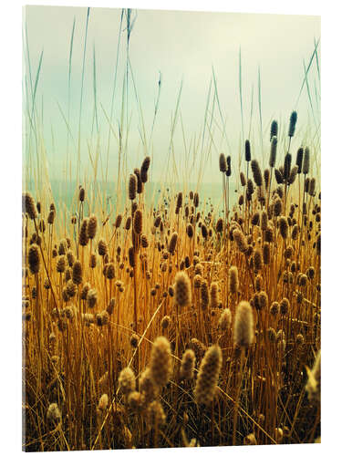 Acrylic print Golden Hours