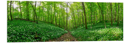 Foam board print Bärlauchwald