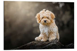 Magnettafel In den Felsen