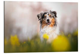 Magnettafel Frühling