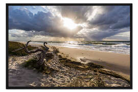 Gerahmter Kunstdruck Sturm am Darßer Weststrand, Ostsee