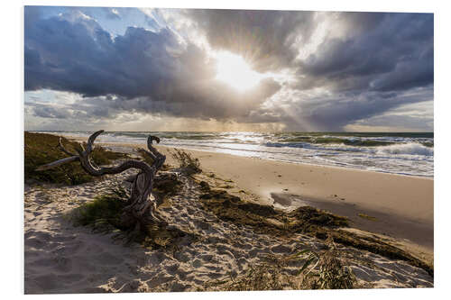 PVC-tavla Storm on Darßer Weststrand, Baltic Sea