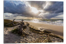 Gallery Print Sturm am Darßer Weststrand, Ostsee