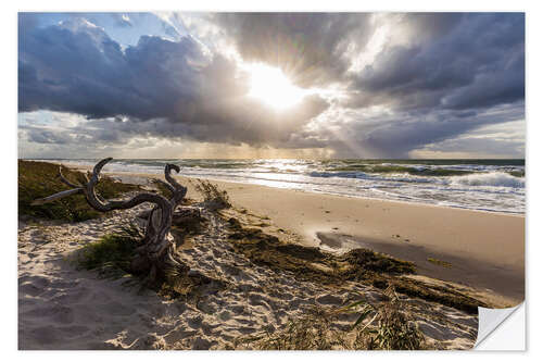 Muursticker Storm on Darßer Weststrand, Baltic Sea