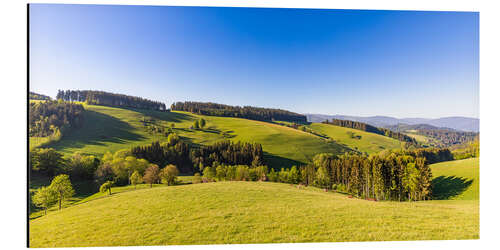 Aluminium print Spring at St. Peter in the Black Forest