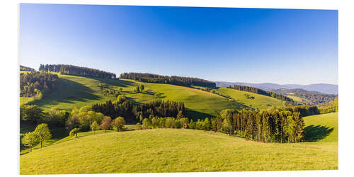 Bilde på skumplate Spring at St. Peter in the Black Forest