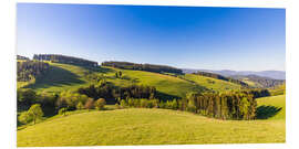 Foam board print Spring at St. Peter in the Black Forest