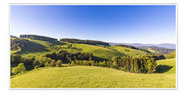 Plakat  Spring at St. Peter in the Black Forest - Dieterich Fotografie