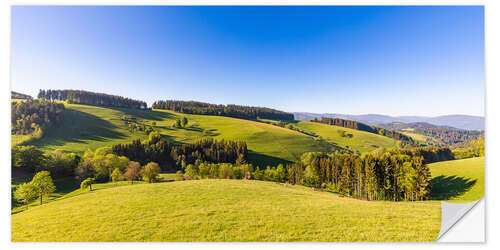 Selvklebende plakat Spring at St. Peter in the Black Forest