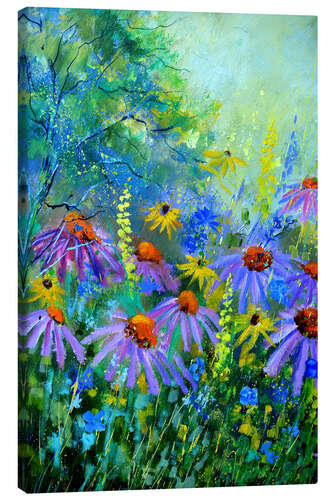 Canvas print Echinaceas