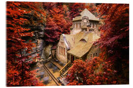 Akrylbillede  Haunted house - Dave Derbis