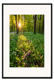 Gerahmter Kunstdruck Frühlingsabend im Wald