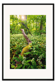 Gerahmter Kunstdruck Frühling im Wald